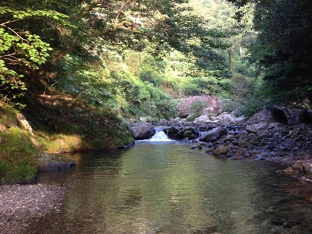 Auberge Tosayama Kōchi Exteriér fotografie